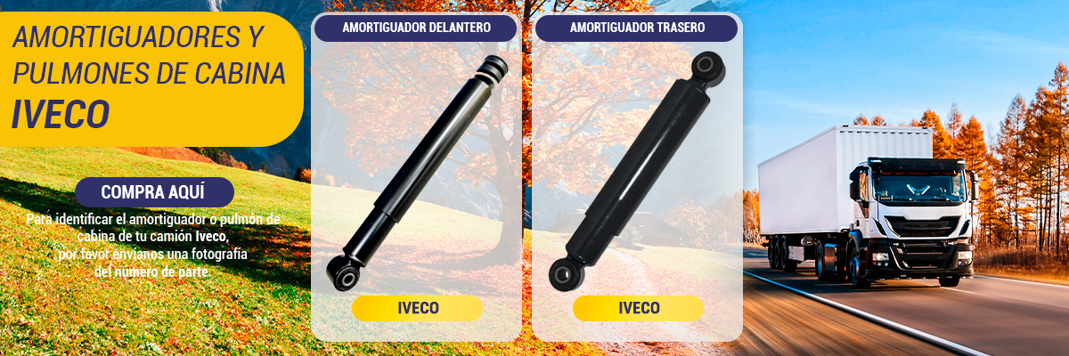 Suspension Delantera