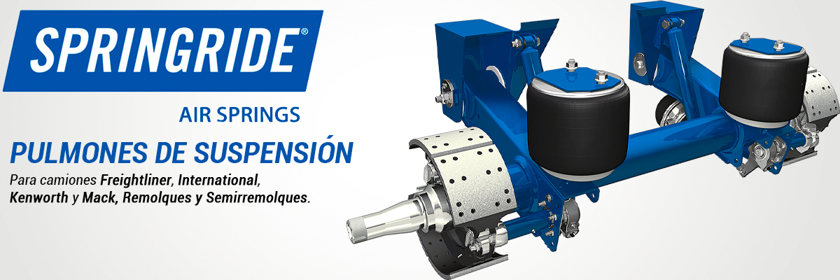 Suspension Trasera Suspension Trasera