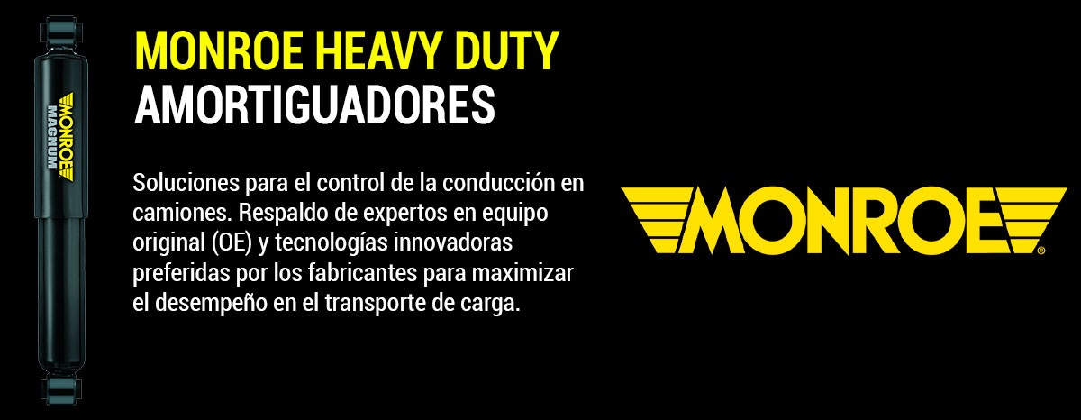 Suspension Delantera