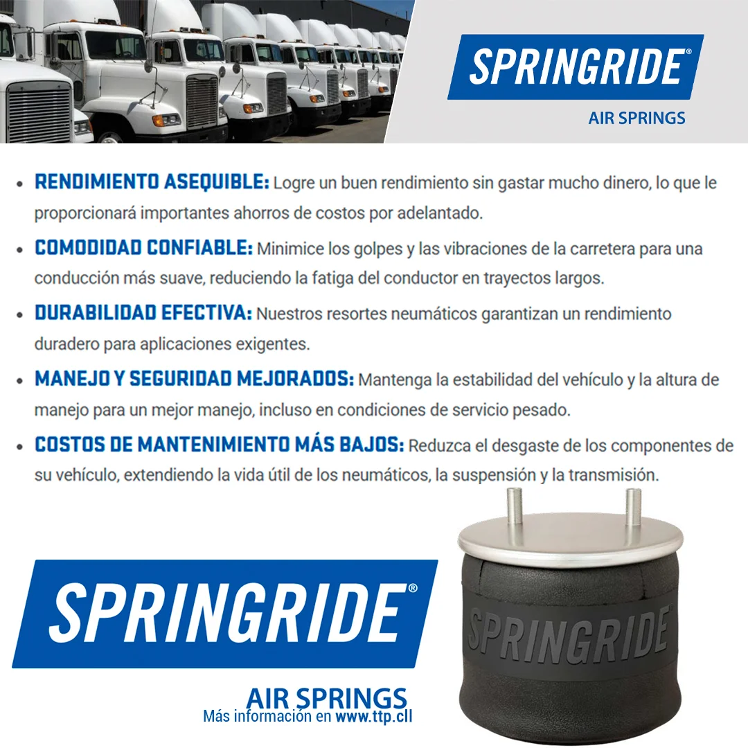 PULMON DE SUSPENSION 1T17CA-6,5 1R13-177 (8708) SPRINGRIDE - Image 6